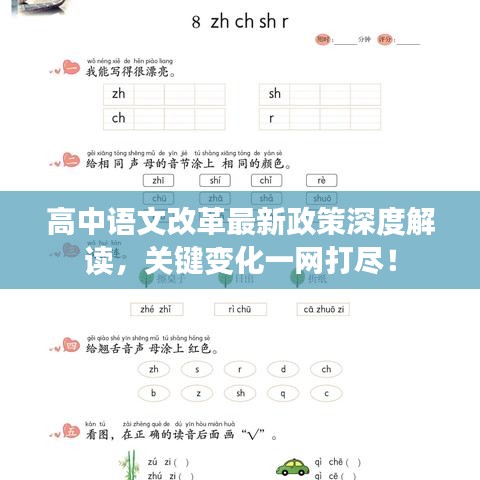 高中語文改革最新政策深度解讀，關(guān)鍵變化一網(wǎng)打盡！