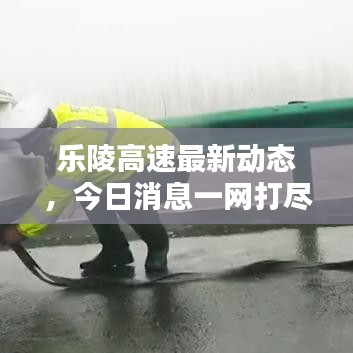 樂陵高速最新動(dòng)態(tài)，今日消息一網(wǎng)打盡！