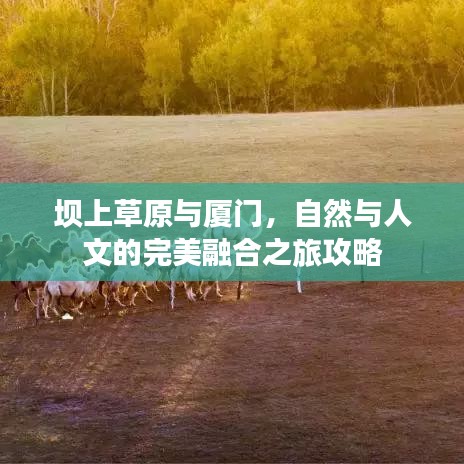 壩上草原與廈門，自然與人文的完美融合之旅攻略