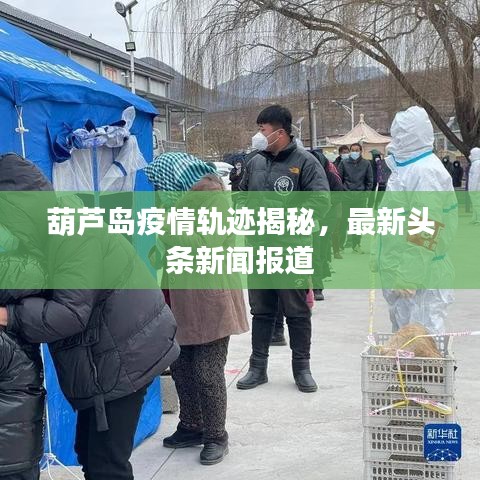 葫蘆島疫情軌跡揭秘，最新頭條新聞報(bào)道