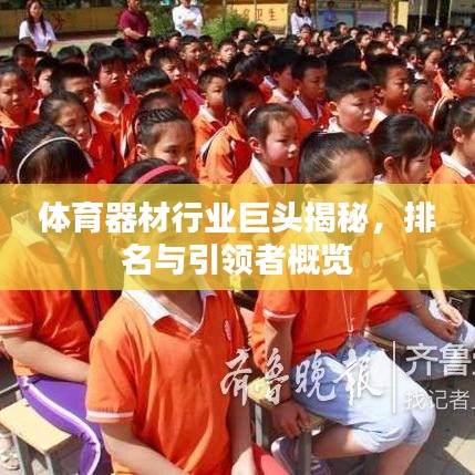 體育器材行業(yè)巨頭揭秘，排名與引領(lǐng)者概覽