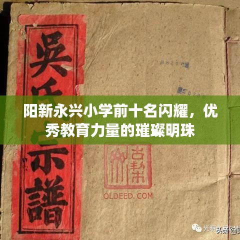 陽(yáng)新永興小學(xué)前十名閃耀，優(yōu)秀教育力量的璀璨明珠