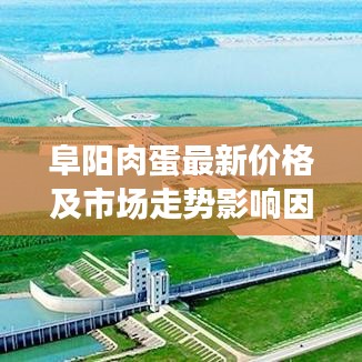 阜陽肉蛋最新價格及市場走勢影響因素解析