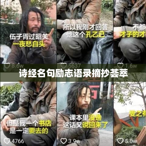 詩經(jīng)名句勵志語錄摘抄薈萃