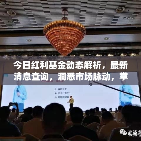 今日紅利基金動態(tài)解析，最新消息查詢，洞悉市場脈動，掌握投資先機(jī)