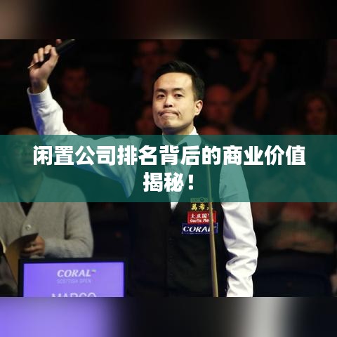閑置公司排名背后的商業(yè)價值揭秘！