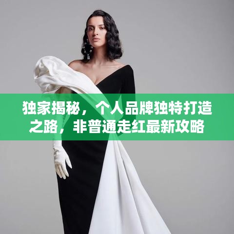 獨(dú)家揭秘，個(gè)人品牌獨(dú)特打造之路，非普通走紅最新攻略