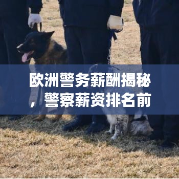 歐洲警務(wù)薪酬揭秘，警察薪資排名前十名探秘