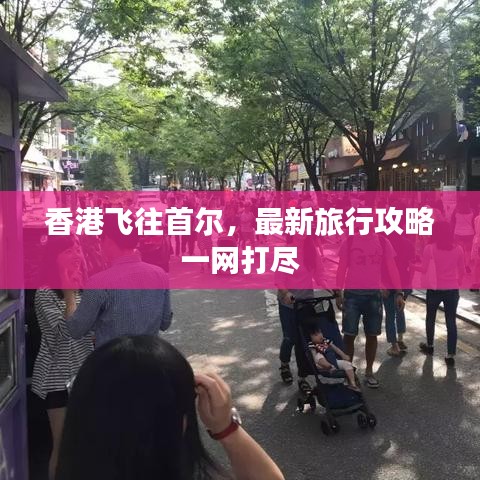 香港飛往首爾，最新旅行攻略一網(wǎng)打盡