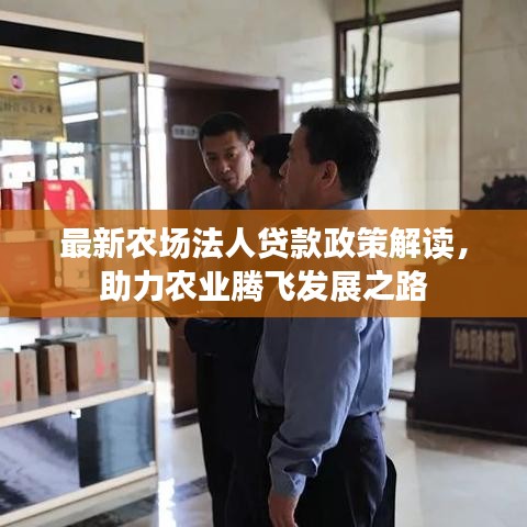 最新農(nóng)場法人貸款政策解讀，助力農(nóng)業(yè)騰飛發(fā)展之路