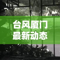 臺風(fēng)廈門最新動態(tài)，風(fēng)雨守護(hù)與應(yīng)對舉措