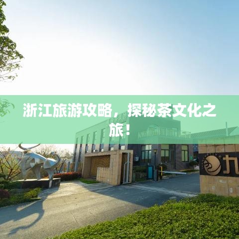 浙江旅游攻略，探秘茶文化之旅！