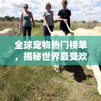 全球寵物熱門榜單，揭秘世界最受歡迎寵物種類深度解析