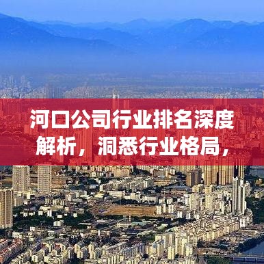 河口公司行業(yè)排名深度解析，洞悉行業(yè)格局，展望未來發(fā)展新趨勢