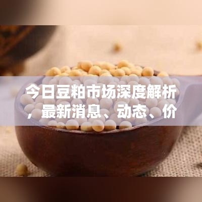今日豆粕市場深度解析，最新消息、動(dòng)態(tài)、價(jià)格走勢(shì)及影響因素全解析