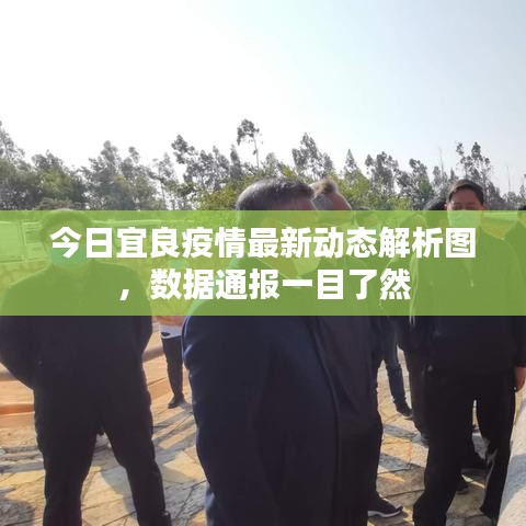 今日宜良疫情最新動(dòng)態(tài)解析圖，數(shù)據(jù)通報(bào)一目了然