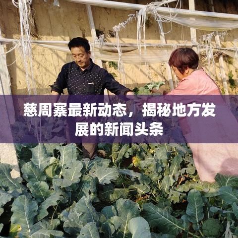 按部就班 第4頁