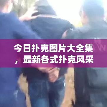 今日撲克圖片大全集，最新各式撲克風(fēng)采一網(wǎng)打盡！