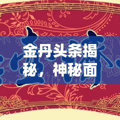 樸素無華 第5頁