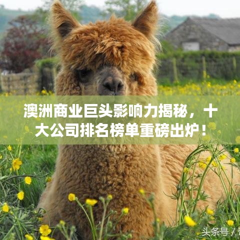 澳洲商業(yè)巨頭影響力揭秘，十大公司排名榜單重磅出爐！