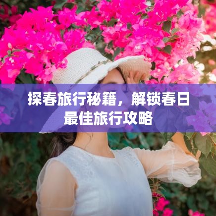 探春旅行秘籍，解鎖春日最佳旅行攻略