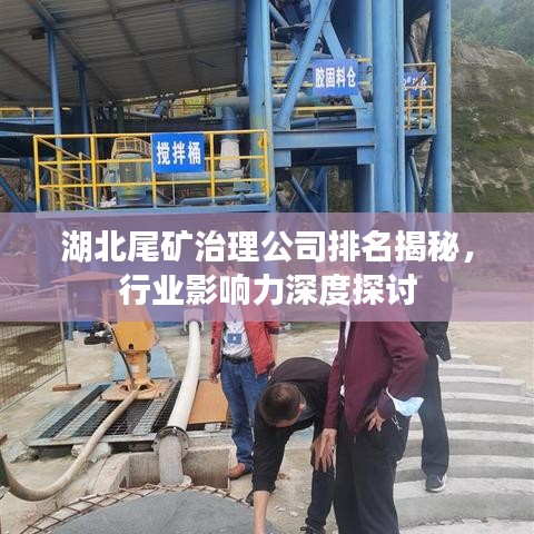湖北尾礦治理公司排名揭秘，行業(yè)影響力深度探討