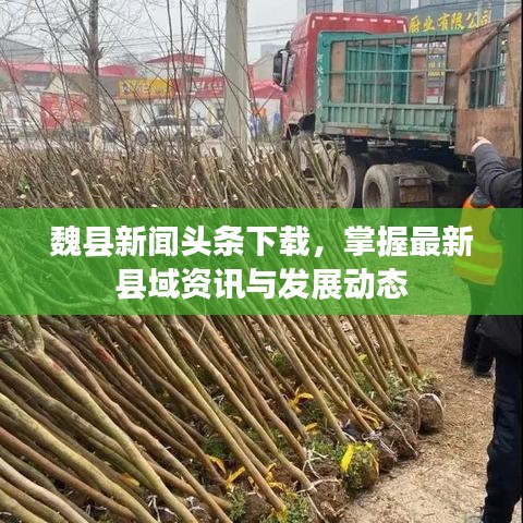 魏縣新聞?lì)^條下載，掌握最新縣域資訊與發(fā)展動(dòng)態(tài)