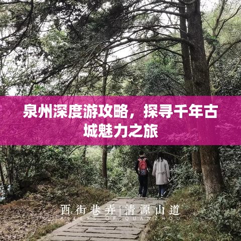 泉州深度游攻略，探尋千年古城魅力之旅