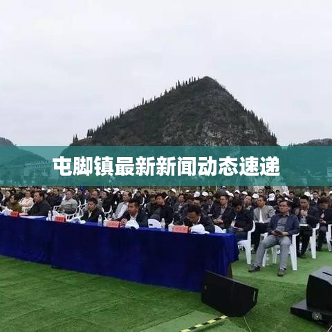 屯腳鎮(zhèn)最新新聞動(dòng)態(tài)速遞