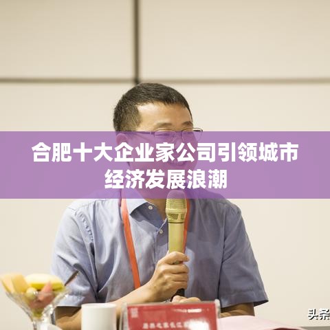 合肥十大企業(yè)家公司引領(lǐng)城市經(jīng)濟發(fā)展浪潮