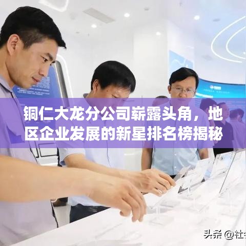 銅仁大龍分公司嶄露頭角，地區(qū)企業(yè)發(fā)展的新星排名榜揭秘