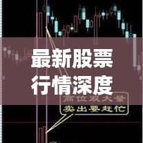 最新股票行情深度解析與走勢預(yù)測