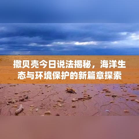 撒貝殼今日說法揭秘，海洋生態(tài)與環(huán)境保護的新篇章探索
