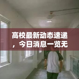 高校最新動(dòng)態(tài)速遞，今日消息一覽無余！
