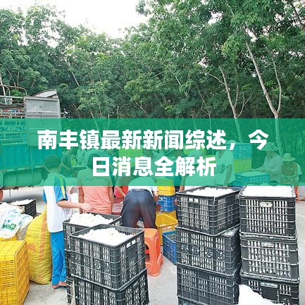 南豐鎮(zhèn)最新新聞綜述，今日消息全解析