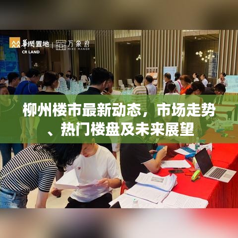 柳州樓市最新動(dòng)態(tài)，市場走勢、熱門樓盤及未來展望