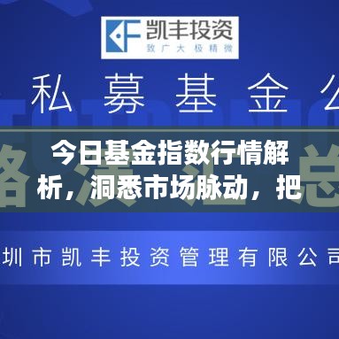 今日基金指數(shù)行情解析，洞悉市場脈動，把握投資良機(jī)