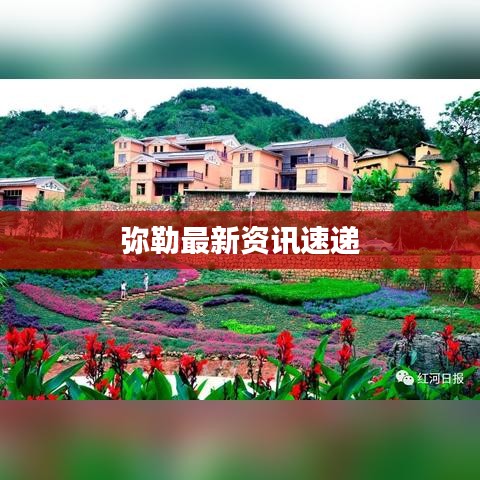 彌勒最新資訊速遞