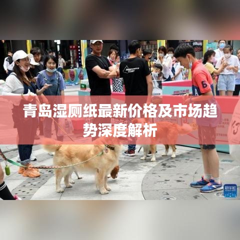 青島濕廁紙最新價格及市場趨勢深度解析