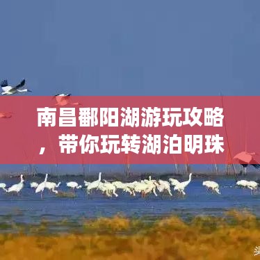 南昌鄱陽湖游玩攻略，帶你玩轉(zhuǎn)湖泊明珠