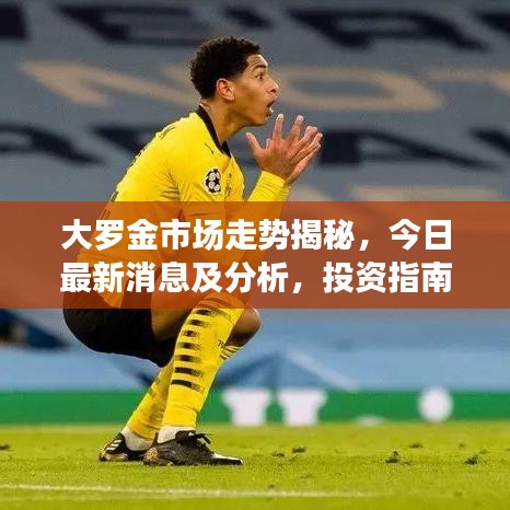 大羅金市場走勢揭秘，今日最新消息及分析，投資指南全解析