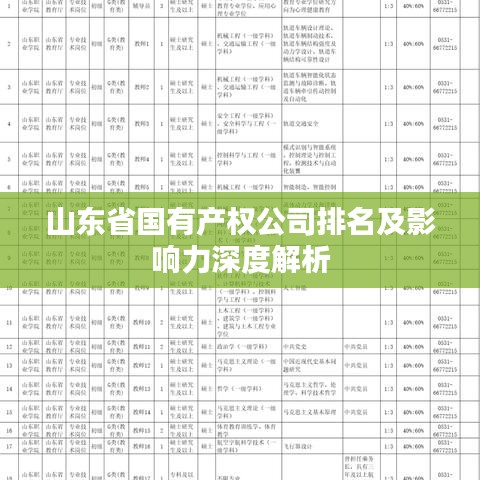 山東省國有產(chǎn)權(quán)公司排名及影響力深度解析