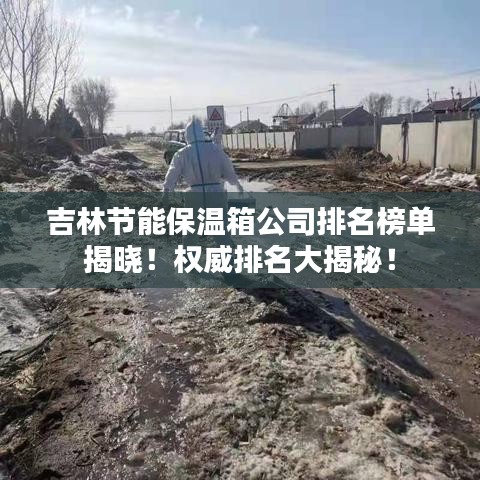 吉林節(jié)能保溫箱公司排名榜單揭曉！權(quán)威排名大揭秘！
