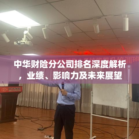 中華財(cái)險(xiǎn)分公司排名深度解析，業(yè)績、影響力及未來展望