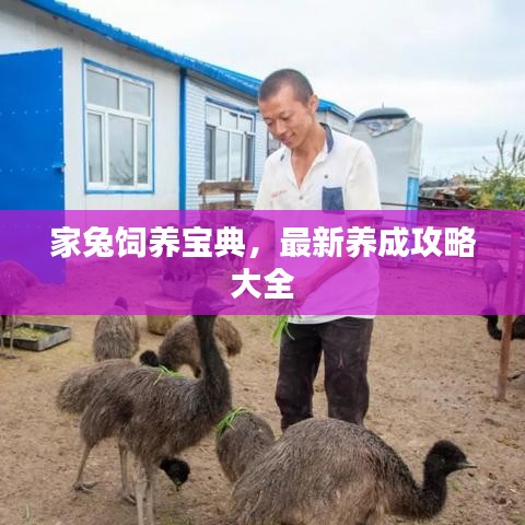 滔滔不絕 第5頁