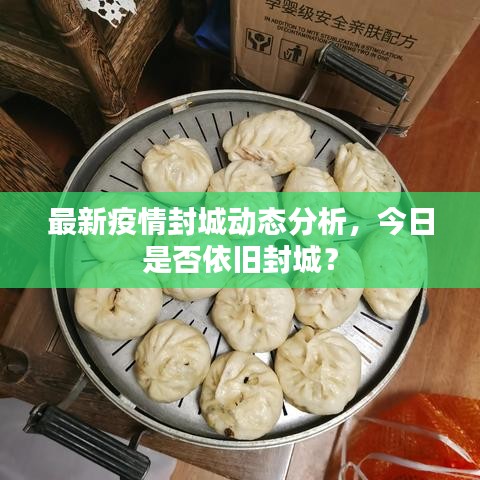最新疫情封城動態(tài)分析，今日是否依舊封城？