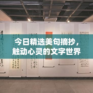 今日精選美句摘抄，觸動心靈的文字世界
