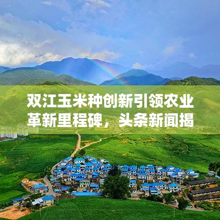 雙江玉米種創(chuàng)新引領(lǐng)農(nóng)業(yè)革新里程碑，頭條新聞揭秘！