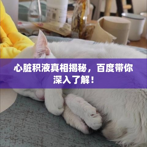 齒白唇紅 第5頁