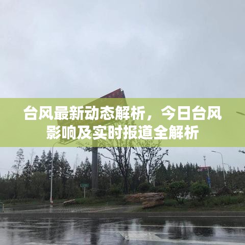臺風(fēng)最新動態(tài)解析，今日臺風(fēng)影響及實時報道全解析